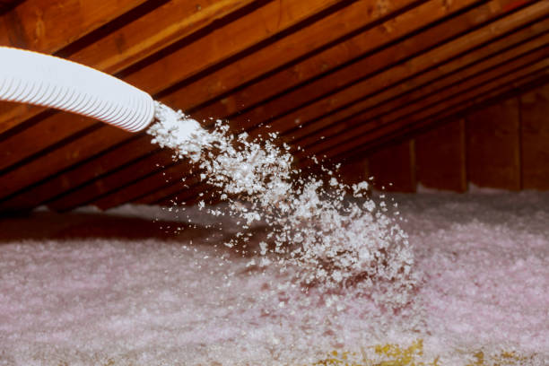Best Types of Insulation in Jackpot, NV