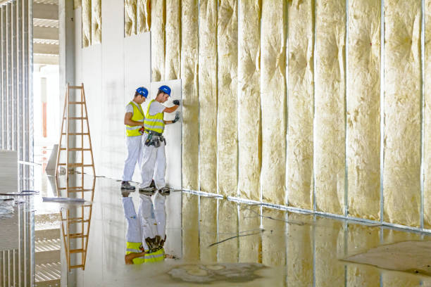 Types of Insulation We Offer in NV